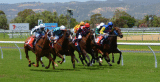 History of Horse Racing in Dubai
