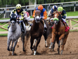 dubai world cup